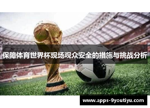 保障体育世界杯现场观众安全的措施与挑战分析