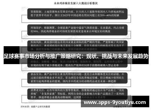 足球赛事市场分析与推广策略研究：现状、挑战与未来发展趋势