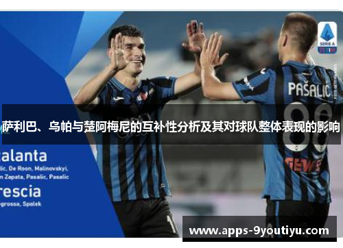 萨利巴、乌帕与楚阿梅尼的互补性分析及其对球队整体表现的影响