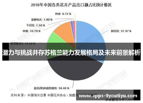 潜力与挑战并存苏格兰能力发展格局及未来前景解析